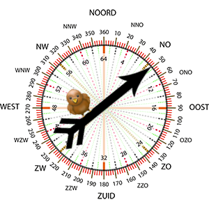 Windrichting